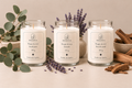 Ensemble découverte de 3 bougies de soya