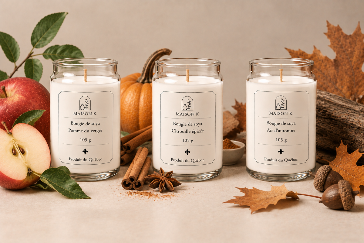 Ensemble découverte de 3 bougies de soya